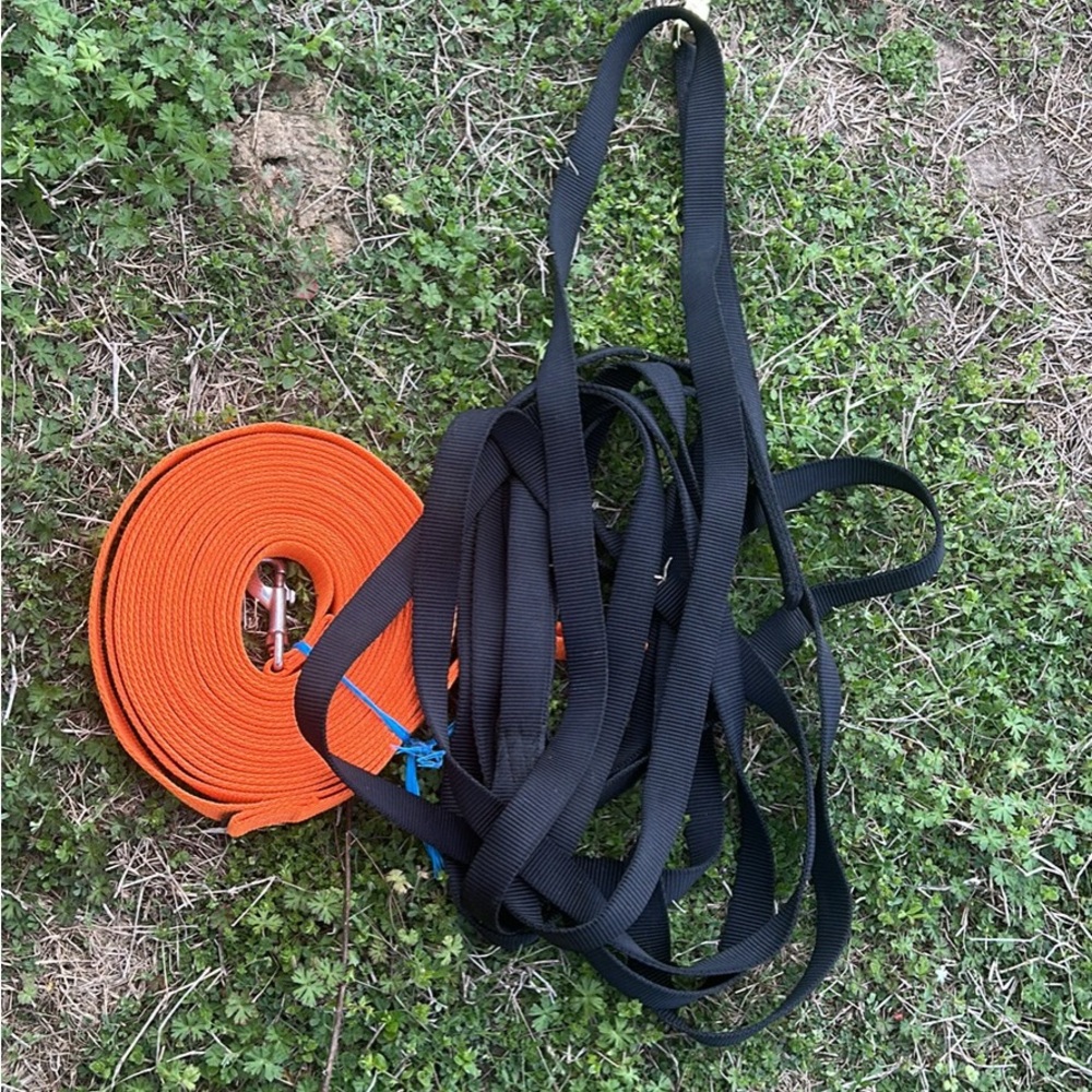 Black and Orange lunge lines
